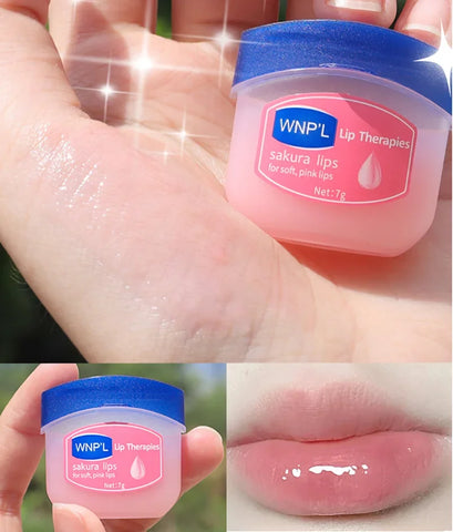 Image of 8/6/4/1PCs Lip Balm Moisturizing Lipstick Base Moisturizer Makeup Natural Plant Anti-Cracking Lip Care Petroleum Jelly Lip Balm